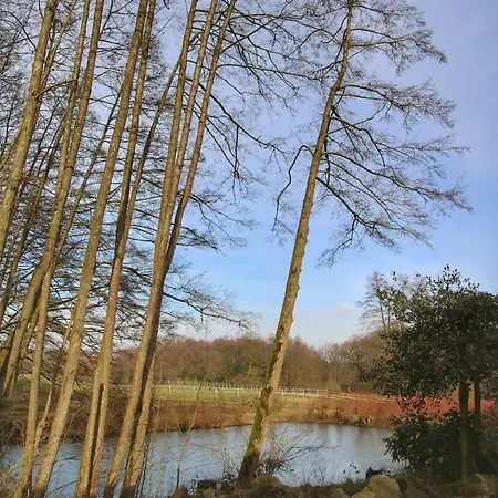 Bergmark 3* Steinfeld (Lower Saxony)